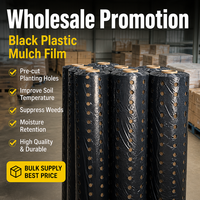 Film de paillage en plastique PP PE noir 0,95x10m, barrière anti-mauvaises herbes pour jardin, couverture de sol, résistant aux UV, pour la plantation de légumes, contrôle des mauvaises herbes