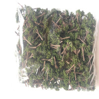3.5cm Matière Plastique Modèle Mini Échelle Arbres pour Bush Micro Paysage Simulation Train Disposition