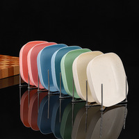 Support de rangement pliable et rétractable pour cuisine, accessoires, support pour couvercles de casseroles, support pour vaisselle en acier inoxydable, étagère pour assiettes