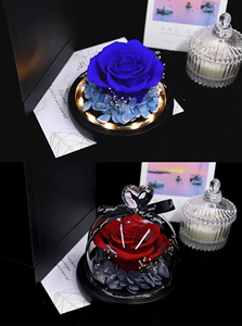 Rosa Eterna Preservata con Luce LED, Decorazione Romantica a Cupola di Vetro con Cuore, Regalo con Nastro per <span class=keywords><strong>Lei</strong></span> - Product Image 3