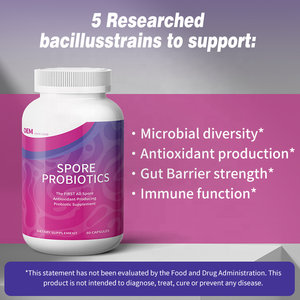 Hot Selling Probiotics Extracts Capsules Spore Based Probiotics Supplement Support Gut Health Effectively Reconditioning Gut - Product Image 2