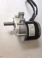 Moteur à courant continu à balais 350W 12V 24V 48V 75rpm 120rpm 180rpm 200rpm pour fauteuil roulant, moteur électrique à couple élevé