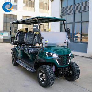 Carrito de Golf Eléctrico de 2 Plazas para Uso Personal con Certificación CE - Product Image 4