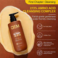 Set de cuidado capilar de marca privada, orgánico, de reparación profunda, con aceite de argán marroquí, champú, acondicionador y mascarilla capilar para cabello seco y dañado.