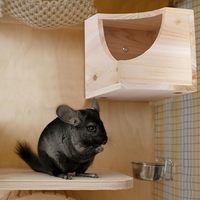 Maison de chinchilla en bois naturel carré petit animal cachette cabane pour chinchilla écureuil planeurs de sucre dans la cage 6.5X6.5X6.5 po