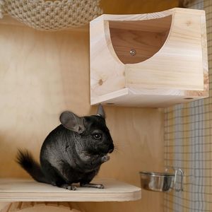 <span class=keywords><strong>Maison</strong></span> de chinchilla en bois naturel carré petit animal cachette <span class=keywords><strong>cabane</strong></span> pour chinchilla écureuil planeurs de sucre dans la cage 6.5X6.5X6.5 po - Product Image 6