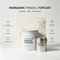 Peinture de façade extérieure en silicate minéral, couche de finition décorative, classe A, ignifuge, perméable à la vapeur, résistante aux intempéries, aux UV et anti-moisissure, OEM