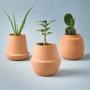 Kit di Coltivazione Moderni Biodegradabili ed Ecologici <span class=keywords><strong>per</strong></span> Casa e <span class=keywords><strong>Giardino</strong></span> - Product Image 2
