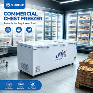 Congélateur horizontal haute performance - Réfrigérateur commercial <span class=keywords><strong>grande</strong></span> capacité avec portes solides verrouillables pour usage en supermarché - Product Image 1