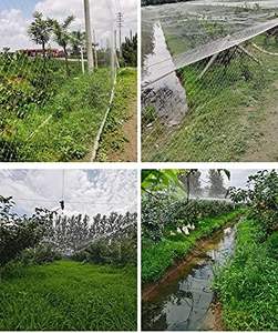 <span class=keywords><strong>Filet</strong></span> anti-oiseaux en nylon blanc pour la <span class=keywords><strong>protection</strong></span> des jardins et des cultures, <span class=keywords><strong>filet</strong></span> pour enclos de chats/chiens/poulets (1Mx15M 18 brins 3cm) - Product Image 6