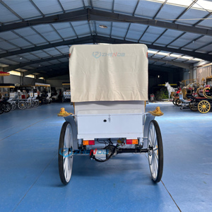 Vente en gros de calèches électriques personnalisables en couleurs sur mesure pour la visite touristique sans chevaux - Product Image 5