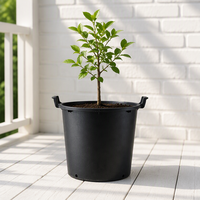 Promotion : Grand pot de jardin robuste et léger, de haute qualité, au design moderne et minimaliste, idéal pour l'extérieur