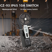 Interrupteur de sécurité de type porte électrique étanche IP65 250V 10A série LEA-P149 en gros