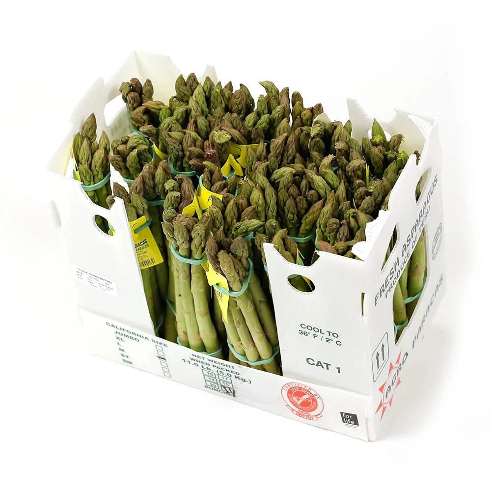 Caixa de plástico para flauta de vegetais e frutas, caixa de plástico enrolada dos pp para a agricultura