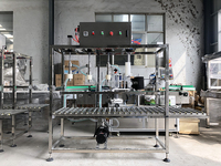Machine de remplissage d'eau minérale entièrement automatique/équipement/ligne de production