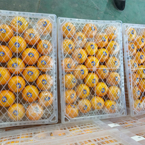 Buen grado Natural <span class=keywords><strong>de</strong></span> alta calidad dulce fresco cítricos mandarina ombligo naranja cítricos con <span class=keywords><strong>precio</strong></span> bajo - Product Image 4