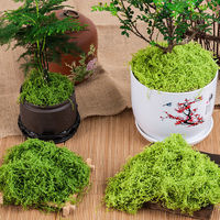 Ornamen Tata Letak Lanskap Mikro Ringan dari Lumut Buatan, Tanaman Pot Bonsai, Simulasi Rumput, Tanaman Hijau Palsu, Dinding Lumut Palsu