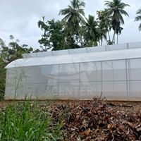 Serre agricole Acenter 8x30m, grande serre avec toit en dents de scie et évents latéraux pour l'agriculture tropicale, invernadero