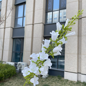 Fiori Artificiali Decorativi di Alta Qualità per la Casa, <span class=keywords><strong>Campanula</strong></span> Blu Alta in Seta per Decorazioni Domestiche e Matrimoni - Product Image 4
