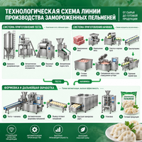 Ligne de production automatique de raviolis pour la fabrication de Jiaozi, Gyoza, Mandu, comprenant le laminage de la pâte, le remplissage, la formage, la congélation et l'emballage
