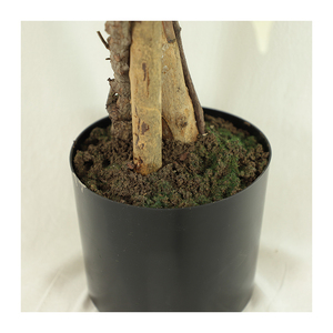 Arbre ficus artificiel en plastique à vente chaude avec des bords blancs, plante de haute qualité, décorations pour la maison - Product Image 4
