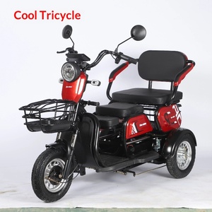 รถ<span class=keywords><strong>สามล้อ</strong></span>ไฟฟ้าสำหรับผู้<span class=keywords><strong>สูงอายุ</strong></span> 2 ที่นั่ง 48V/60V พร้อมหลังคาและตะกร้าหน้า/หลัง มอเตอร์ 1000W ระยะทางวิ่ง 31-60 กม. สำหรับการพักผ่อน - Product Image 2
