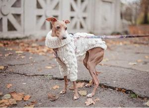 Qiqu-suéter de lana para perros, ropa personalizada de nuevo diseñador, suéter de lana elegante, Mono para perro grande <span class=keywords><strong>italiano</strong></span>, <span class=keywords><strong>galgo</strong></span> - Product Image 4