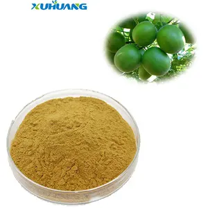 Good Water Solubility Fresh Momordica Grosvenori Luo Han Guo Monk Fruit Extract Powder