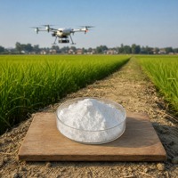 Inhibiteur d'uréase NBPT (CAS 94317-64-3) Pureté 97% Solides cristallins blancs pour les entreprises d'engrais Gestion de l'azote