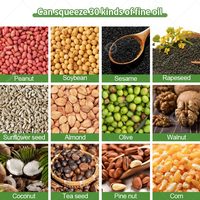 Presse à huile automatique pour tournesol et soja, machine à arachides mini de haute qualité, capacité 30 kg/h