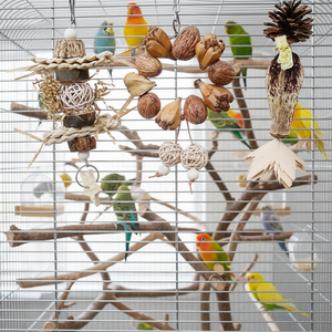 ของเล่นสัตว์เลี้ยงขายส่งจากโรงงาน ผลไม้ธรรมชาติ ขนมขบเคี้ยว ผลิตภัณฑ์สำหรับขัดฟัน สำหรับนกแก้ว กระต่าย หนูแฮมสเตอร์ - Product Image 6