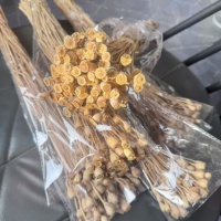 Bunga Hias Grosir, Bunga Poppy Kering Alami Asli, Buket Poppy Emas Perak Tahan Lama untuk Dekorasi Pernikahan dan Rumah DIY