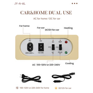 Evercool OEM vente en gros 6 L <span class=keywords><strong>jaune</strong></span> 12V DC petit réfrigérateur réfrigérateur bouteilles pour jus médicaments alimentaires - Product Image 5