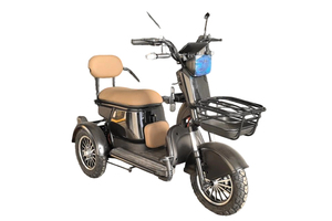 Triciclo Eléctrico <span class=keywords><strong>de</strong></span> Alta Resistencia <span class=keywords><strong>para</strong></span> 2 Pasajeros |   Certificado por el DOT, Ideal <span class=keywords><strong>para</strong></span> <span class=keywords><strong>Alquiler</strong></span> Urbano y <span class=keywords><strong>Transporte</strong></span> <span class=keywords><strong>de</strong></span> Corta Distancia - Product Image 5