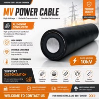 Cable de Alimentación de Aluminio de un Solo Núcleo IEC 60502-2 YJLV22 8.7/15kV, Aislado con XLPE, Blindado, de Alta Tensión, para Entierro Directo