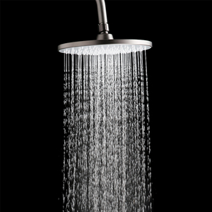 Ensemble de douche de forme ronde SH-20062 Pommeau de douche supérieur en ABS gris clair chromé - Product Image 3
