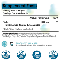Fabricant de capsules de NAD, fourniture de NAD pur à 1000 mg, meilleurs compléments de NAD avec certificat de pureté, prix de gros