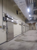 Congélateur à viande automatique haute efficacité avec compresseur et moteur Copeland, écologique, pour ligne de transformation de la viande