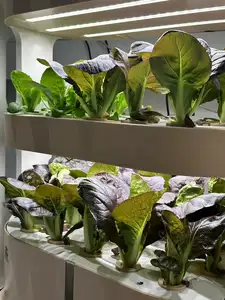 Sistema de cultivo hidropônico automático para micro fazenda, torre de cultivo hidropônica para casa e jardim inteligente, vertical