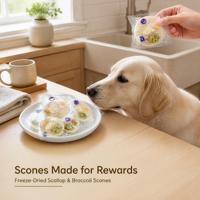 Friandises pour animaux de compagnie surgelées et séchées : Bouchées de coquilles Saint-Jacques et brocoli, riches en protéines, sans céréales, marque privée, emballage personnalisé, vente en gros en vrac