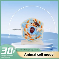 Modèle anatomique de cellule animale Xuequan : Noyau, cytoplasme, mitochondries – Spécimen biologique en plastique pour l'enseignement en écoles de médecine (Modèle)