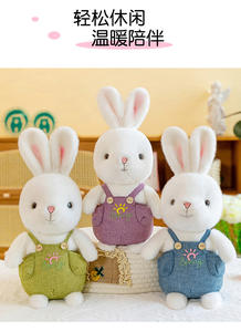 Peluche Coniglietto Simpatico e Paffuto, Cuscino Decorativo e Bambola Giocattolo, Regalo per Uomini e Donne - Product Image 2