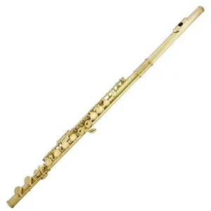 Seasound Factory Leather Case Gold Wood Flute with Nickel Plated Surface 16 Holes Soprano JYFL201G Closed Manufacturer OEM