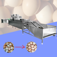 Ligne de lavage et de tri d'œufs en acier inoxydable de type brosse, machine automatique de lavage et d'emballage d'œufs