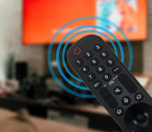 Kontrol suara kustom Keypad TV pengendali jarak jauh untuk LG rumah penggunaan nirkabel plastik tombol silikon otomatis kode tetap untuk LED - Product Image 6