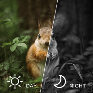 Jumelles de chasse 4K haute résolution Z9157 à vision nocturne Casque monté sur la tête Lunettes de vision nocturne IR avec lampe de poche tactique - Product Image 5