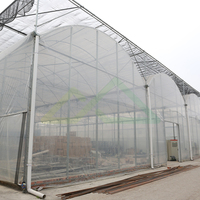 Grote commerciële multispan polyethyleen kassen, kasbouwpakketten en complete kassystemen