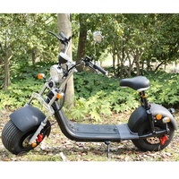 Scooter électrique adulte Citycoco EEC COC 1500W à moteur sans balais, batterie 60V 12/20Ah, étanche, grande assise, prix abordable, vente chaude