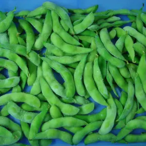 Edamame Hot Product Supply BRC Approved IQF Frozen Organic Edamame / Frozen Soy Bean Kernels