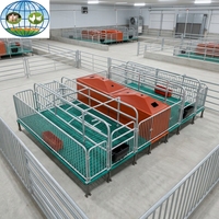 Cage de maternité et d'accouchement galvanisée pour truies, équipement porcin, vente directe usine